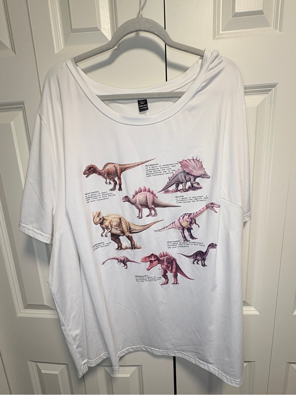 SHEIN White Short Sleeve Tee with Pink & Brown Dinosaur Print